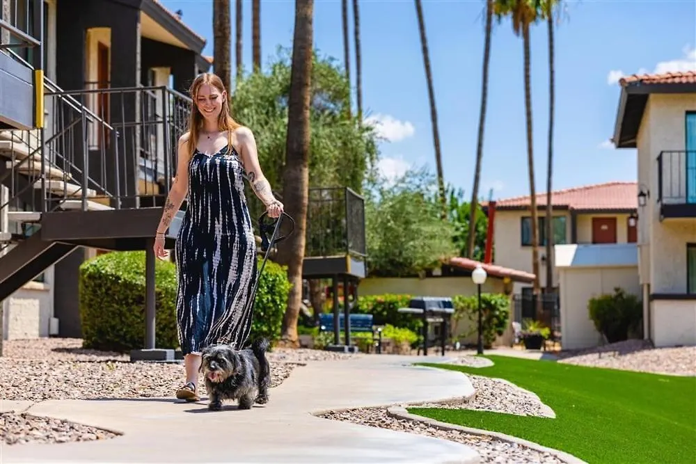 209 Fully Furnished 1Br Suite-Prime Location Scottsdale
